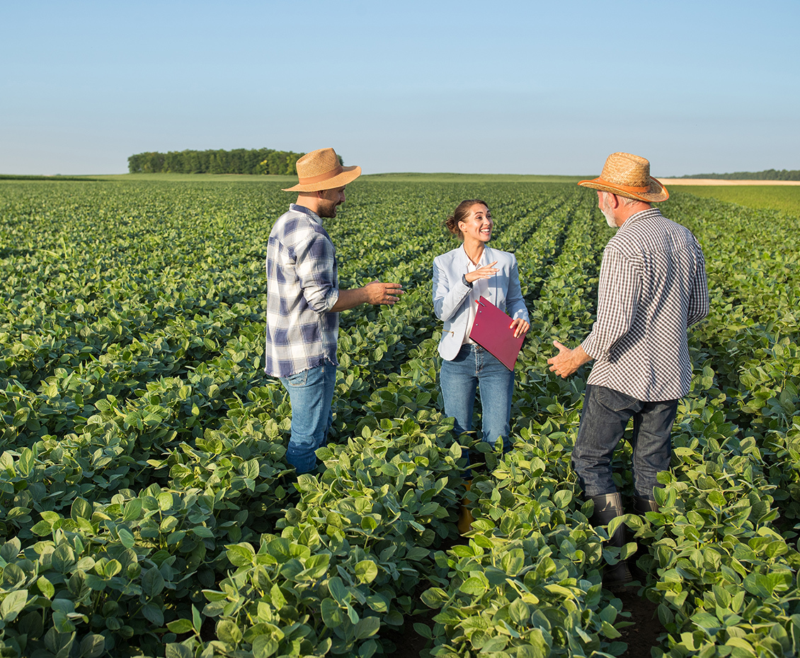 TalentCards' mobile-first app empowers DISAGRO to train field sales reps from their smartphones across Latin America